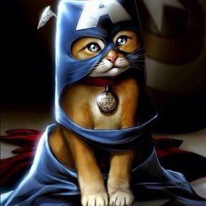 Meet your Posher, Veronica